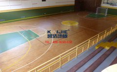 2018籃球場木地板美學(xué)設(shè)計藝術(shù)研討會圓滿成功-籃球木地板