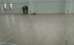 歐洲楓樺木籃球地板價(jià)格-凱潔地板
