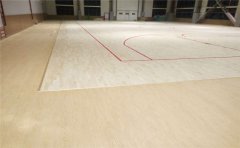 CBA第二周佳球員，易建聯喜登榜單-凱潔地板